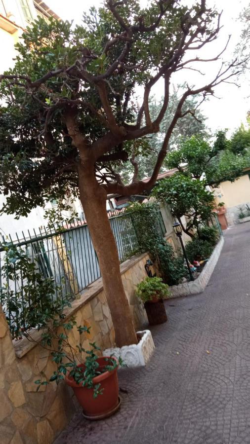 Apartament Casa Diana Rzym Zewnętrze zdjęcie
